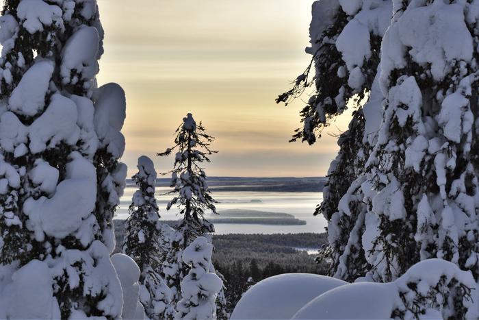 Lunta Riisitunturilla Posiolla helmikuussa 2020.